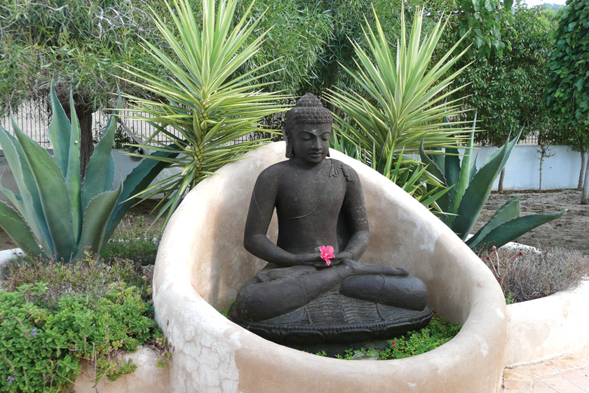 yoga-area-buddha-1-l